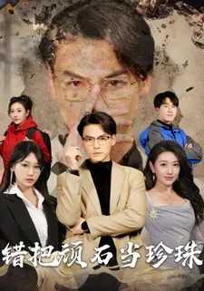 错把顽石当珍珠}